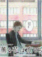 综艺企划抽屉贴纸：作者访谈与企划分类卡